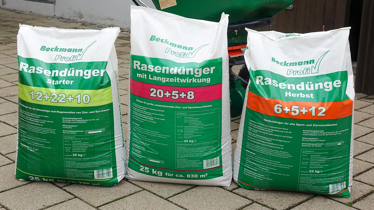 Rasendnger fr perfektes Grn - Torsten Knechtel
